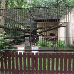 Malaienbärengehege (Zoo Hodonin)
