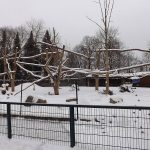 Anlage der Mantelpaviane und Rotbüffel (Zoo Augsburg)