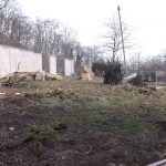 Außenanlage der Löwen (Thüringer Zoopark)