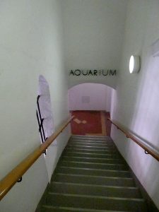 Aquarium im Deutschen Meeresmuseum