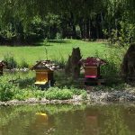 Bienenkörbe am Teich (Wildpark Poing)