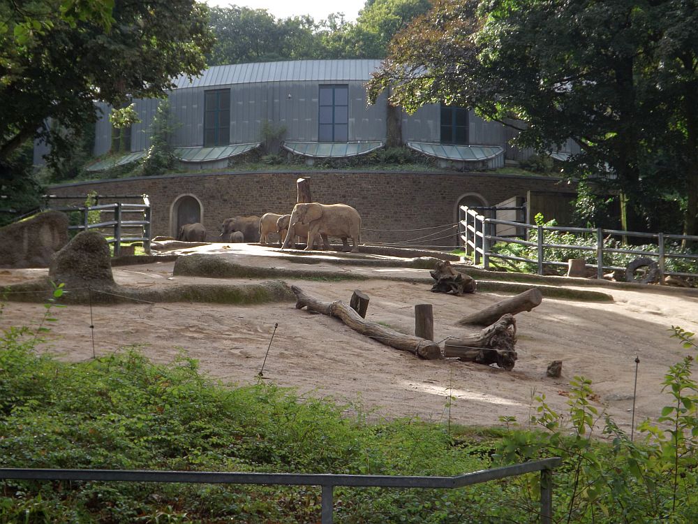 Elefantenanlage (Zoo Wuppertal)