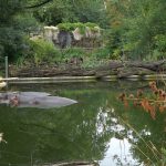 Flusspferdanlage (Zoo Antwerpen)