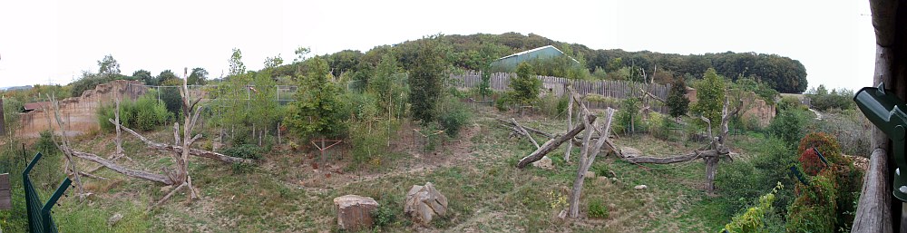 Schimpansenanlage (Zoo Osnabrück)