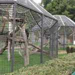 Außenanlage für Schimpansen (Zoo Saarbrücken)