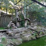 Anlage für Rote Pandas (Zoo Saarbrücken)