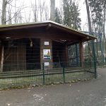 Makakenanlage (Wildpark Annaberg-Buchholz)