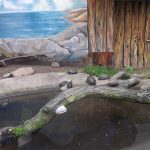 Terrarium für europäische Sumpfschildkröten (Zoopark Chomutov)