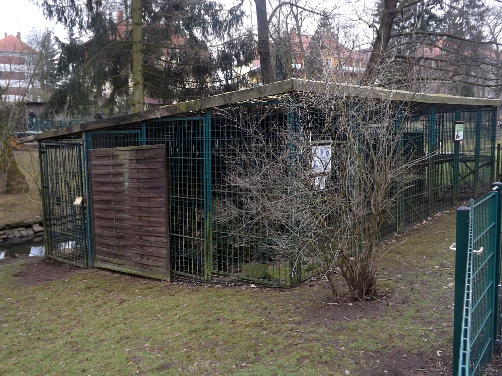 Waschbärenanlage (Tiergarten Freiberg)