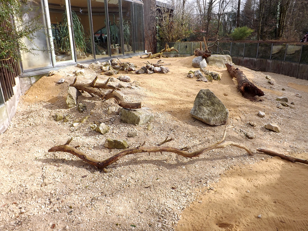 Außenanlage der Fenneks (Zoo Augsburg)