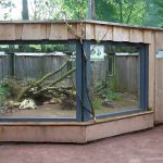 Außenanlage für Arguswarane (Tiergarten Worms)