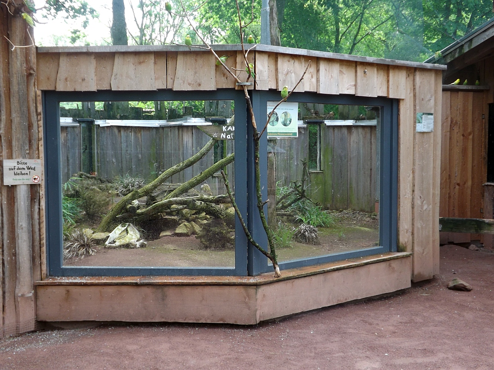 Außenanlage für Arguswarane (Tiergarten Worms)
