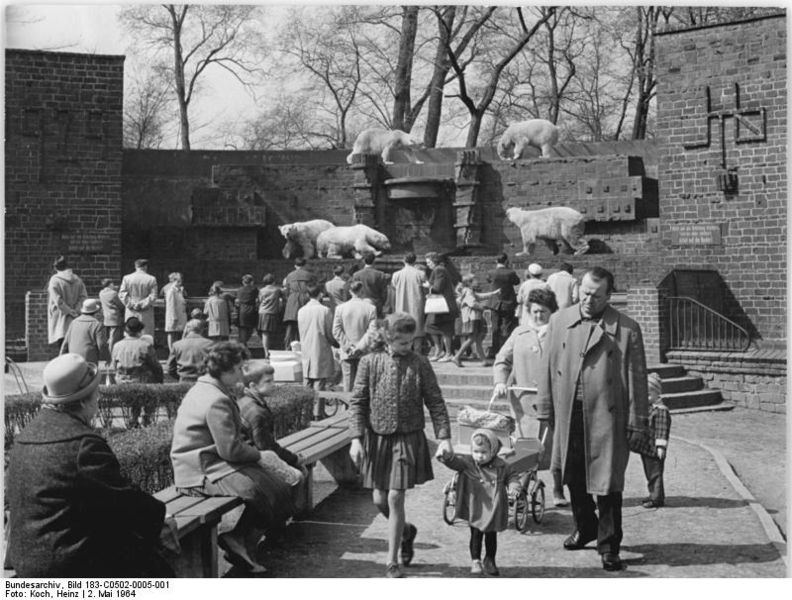 Zoo Leipzig, Bärenburg mit Eisbären 1964 (Heinz Koch, Bundesarchiv)