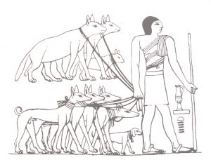 Als Tributzahlung werden dem König Hyänen (oben, erkennbar am Schwanz) und Windhunde überbracht