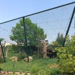 Neuweltgeieranlage (Zoo Plzen)