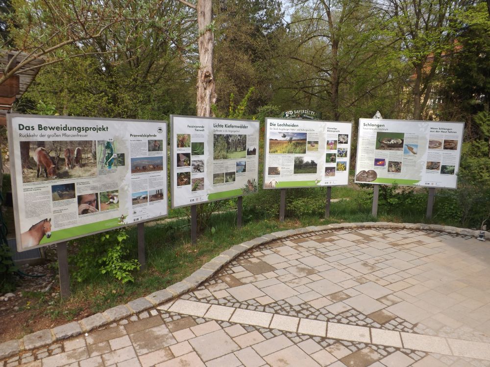 Artenschutzprojekte (Zoo Augsburg)