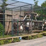 Greifvögel und Affen (Zoo Chleby)