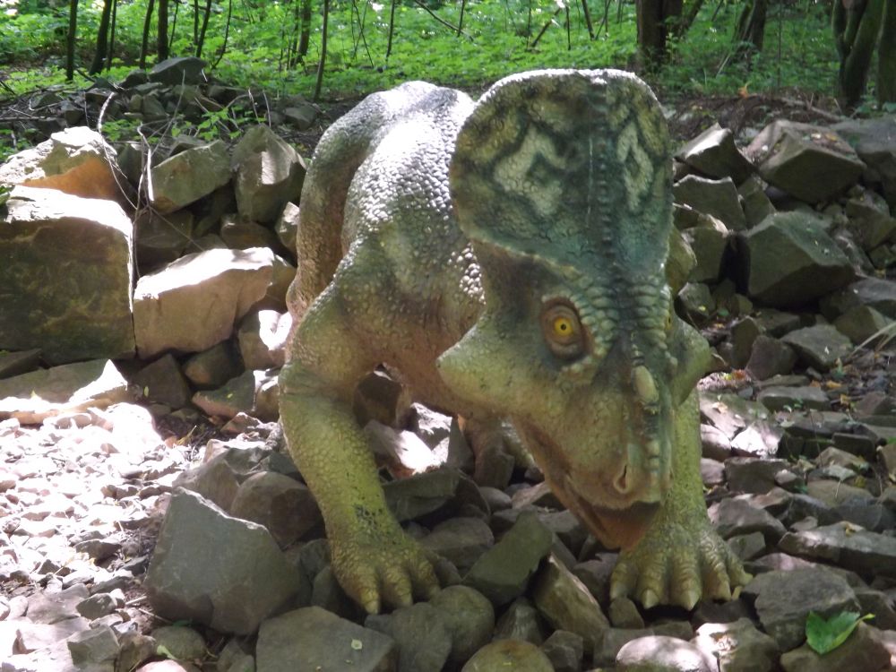 Protoceratops (Dinopark Vyskov)