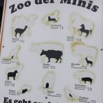 Die größten und die kleinsten (Zoo der Minis)