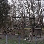 Nasenbärenanlage (Zoo Augsburg)