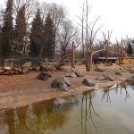 Anlage für Mantelpaviane und Rotbüffel (Zoo Augsburg)