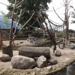 Wasserschwein- und Kapuzineraffenanlage (Zoo Salzburg)
