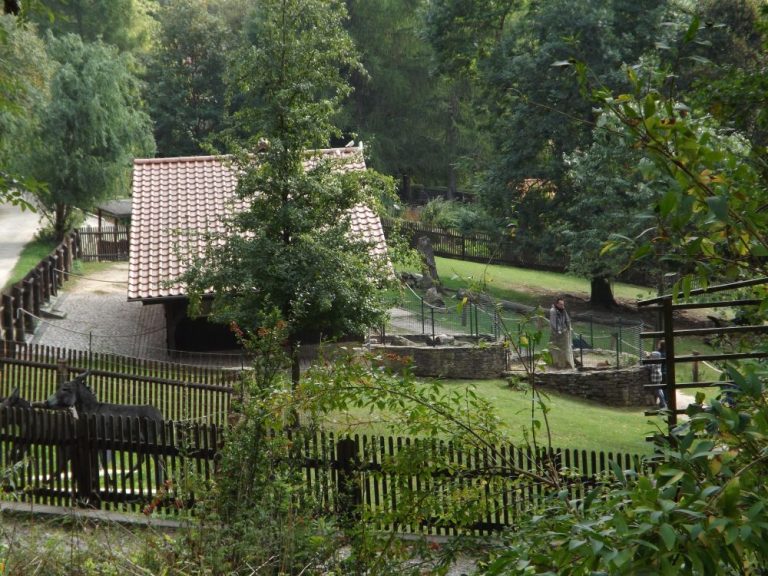 Alternativer Bärenpark Worbis Der BeutelwolfBlog