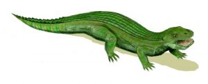 Simosuchus clarkii (© N. Tamura)