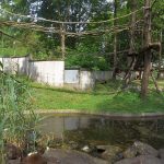 Waschbären- und Fischotteranlage (Tiergarten Straubing)