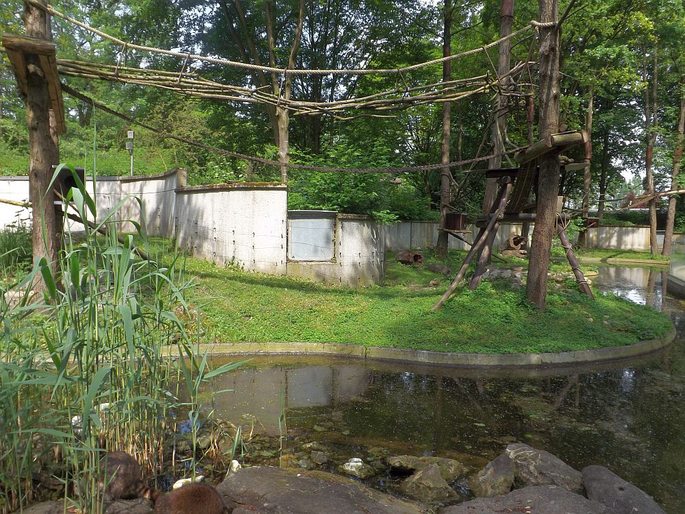 Waschbären- und Fischotteranlage (Tiergarten Straubing)