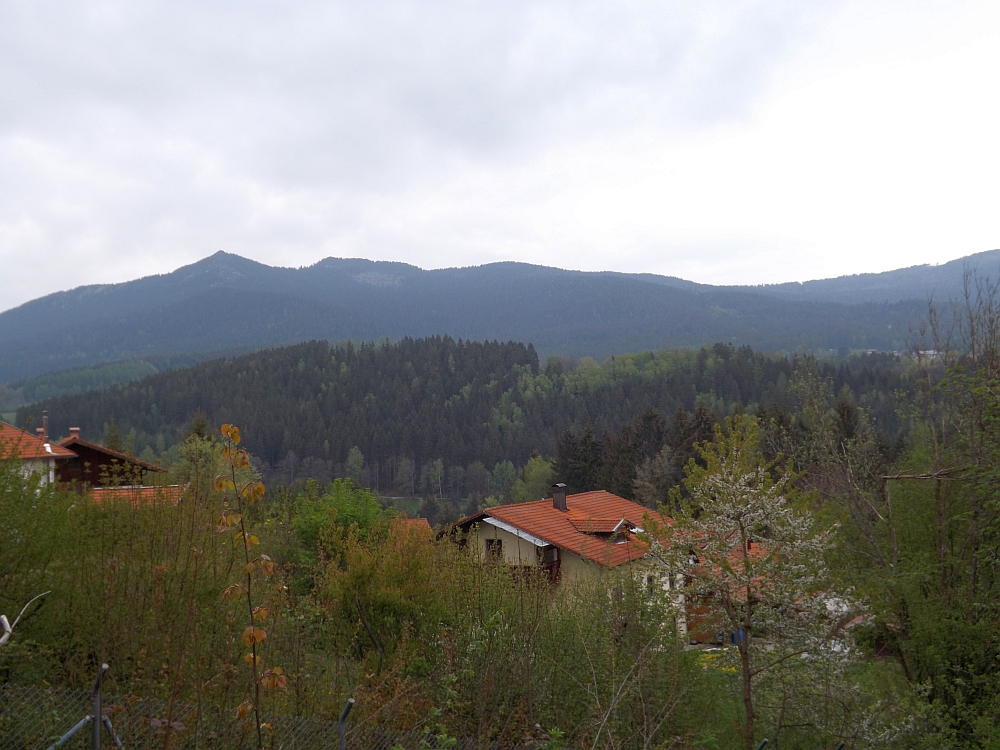 Blick vom Tierpark Lohberg auf den Bayerischen Wald