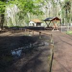Begehbare Damhirschanlage (Tierpark Köthen)