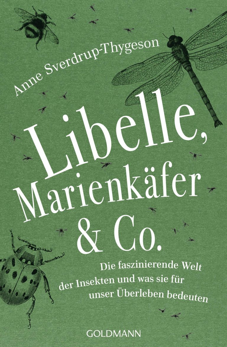 Anne SverdrupThygeson Libelle, Marienkäfer und Co. (Rezension) Der BeutelwolfBlog