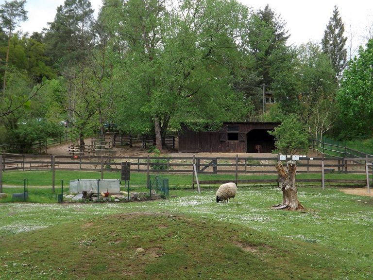 Tierpark Kunsterspring, Neuruppin Der BeutelwolfBlog